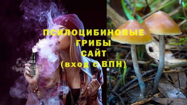 прущие крисы Аркадак