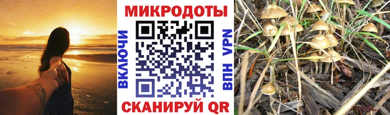 Псилоцибиновые грибы ЛСД  хочу   Тарко-Сале 